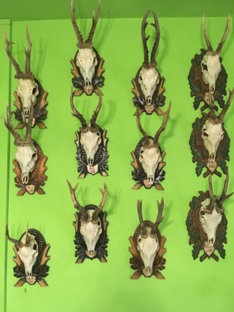photo1.jpg