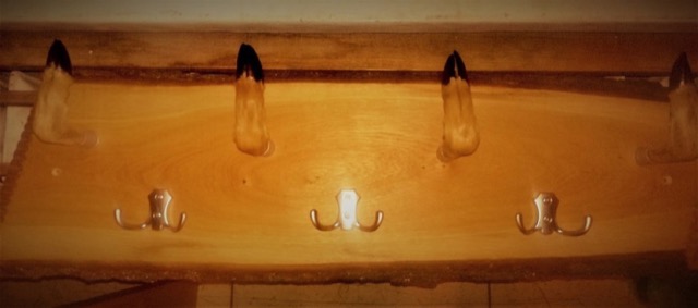 photo10.jpg