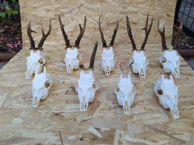 photo12.jpg