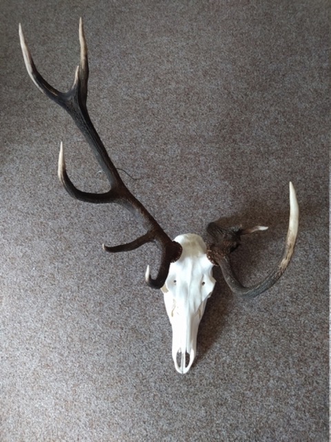 photo13.jpg