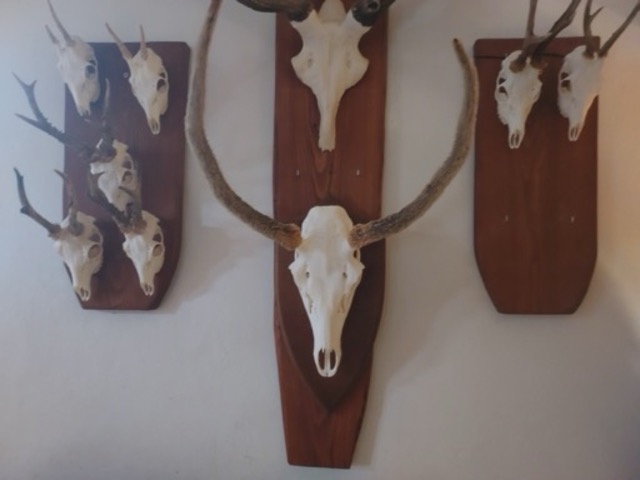 photo18.jpg