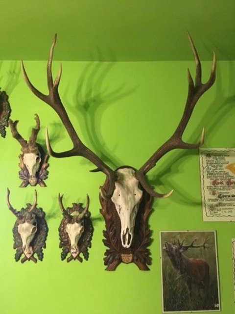 photo2.jpg
