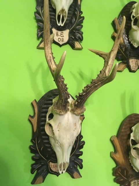 photo4.jpg