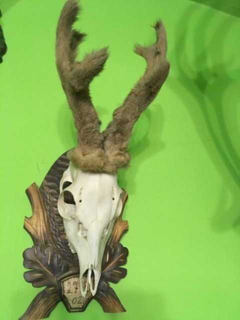 photo5.jpg