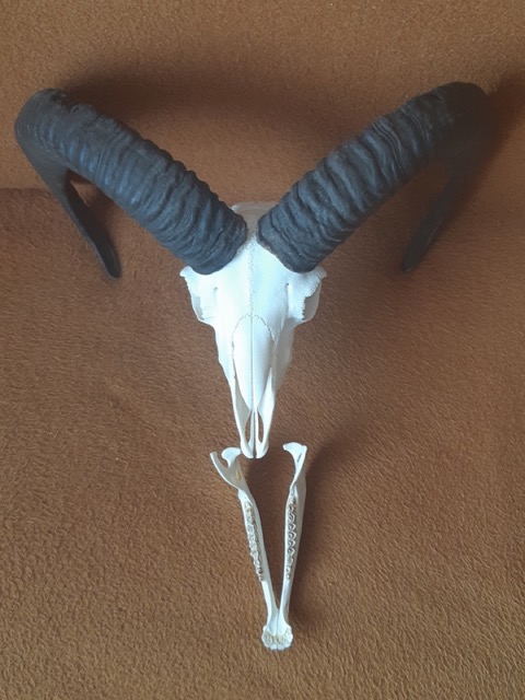 photo6.jpg