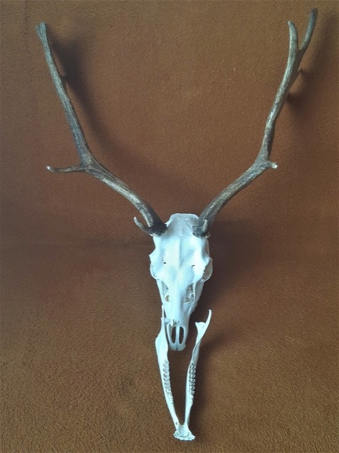 photo7.jpg