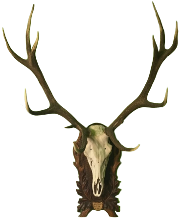 logo: deer antlers